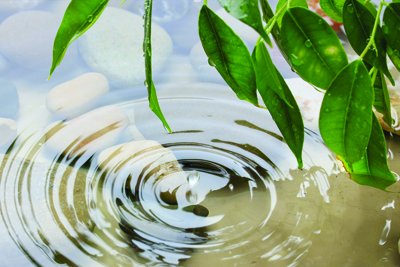 Topping up with BIO-SYN HEES renews BIO CERTIFICATION